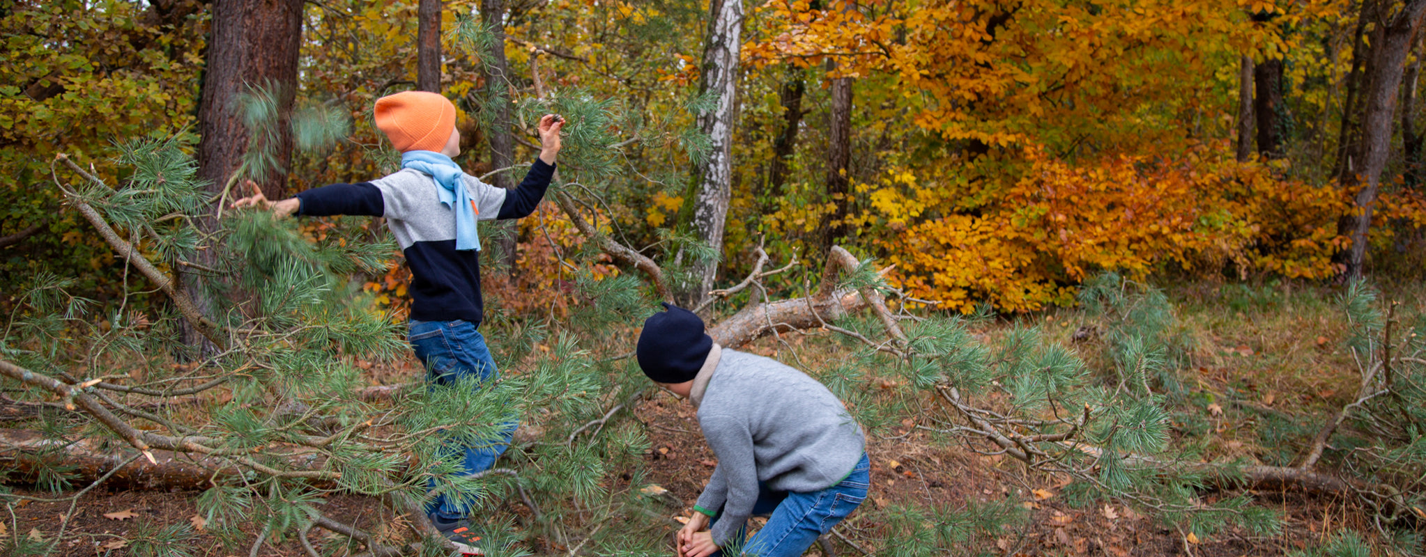Kaschmirpullover Jungen