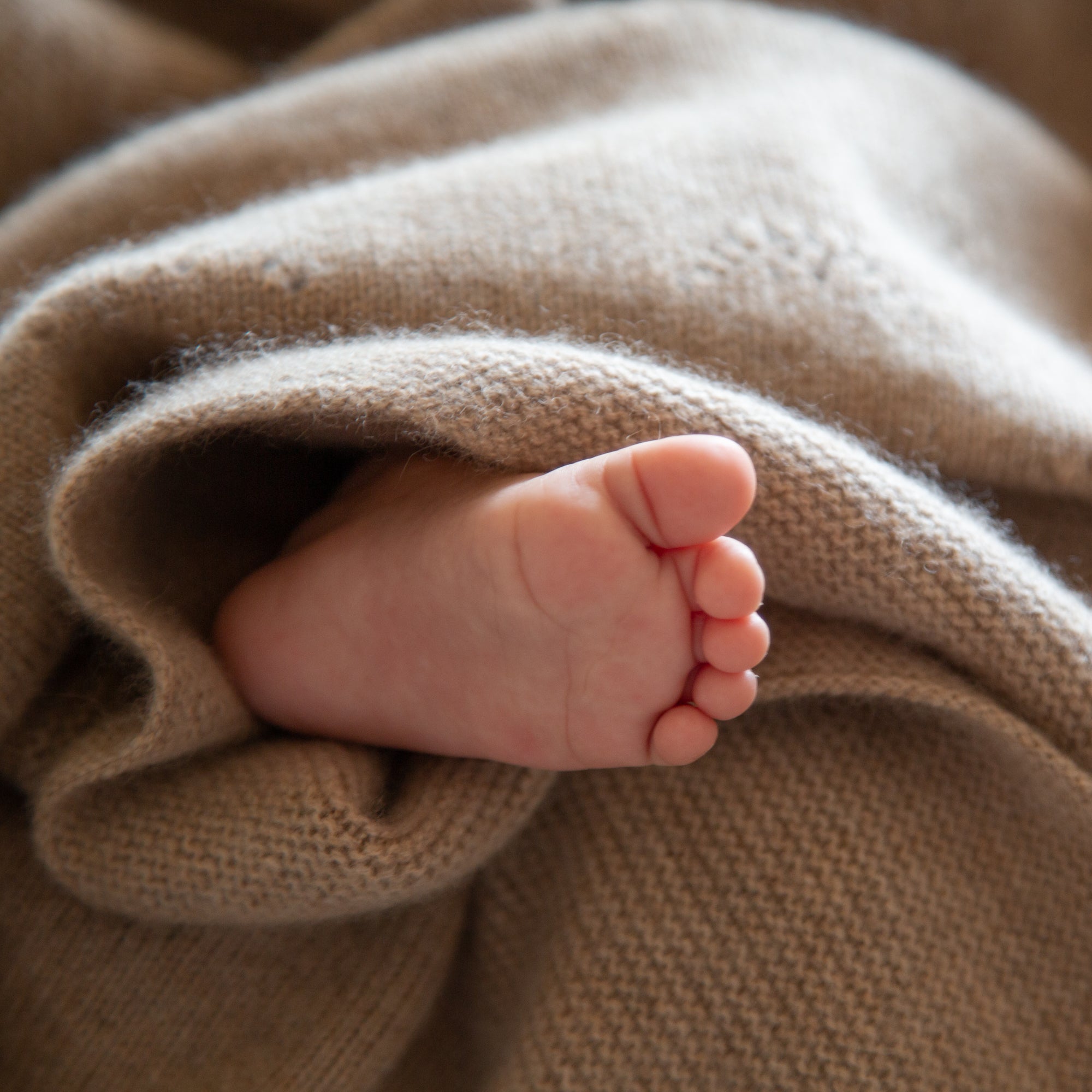 Cashmere baby blanket LEE