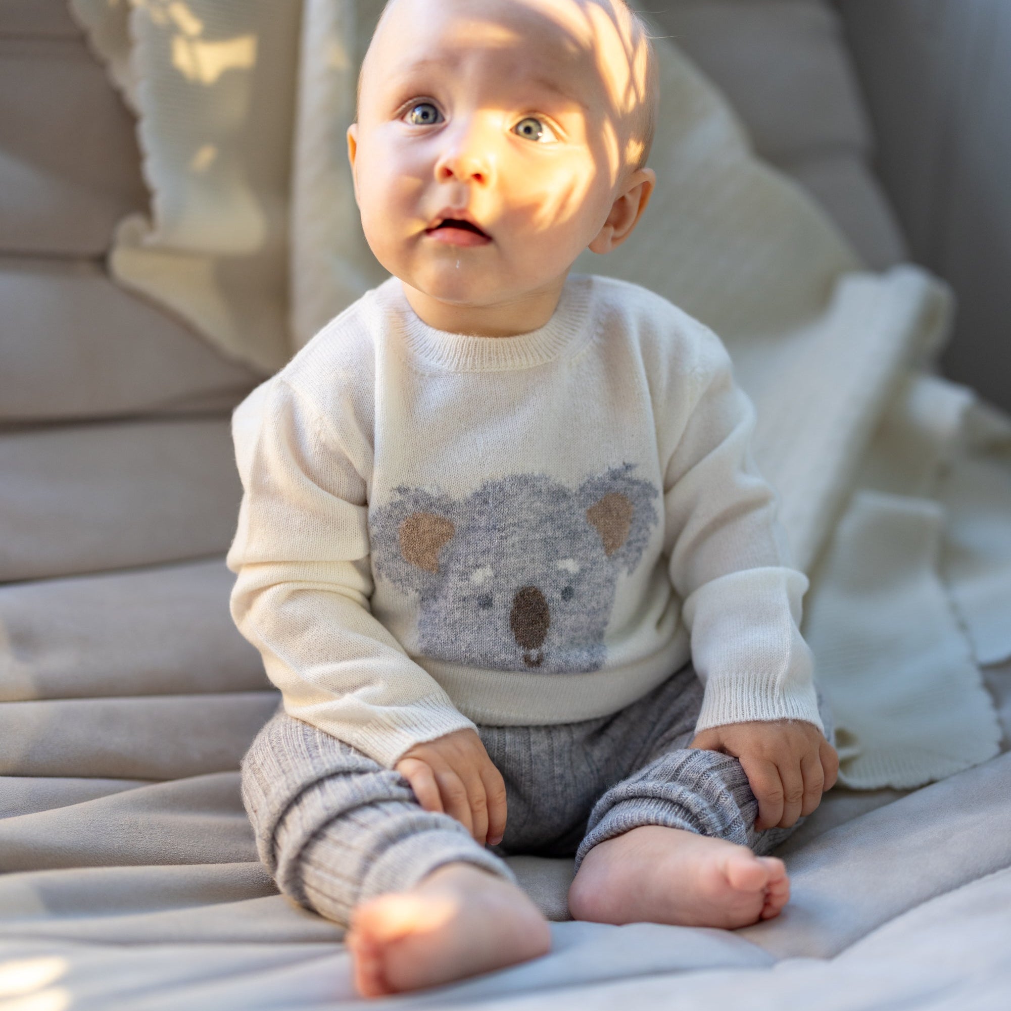 Pullover KOALA