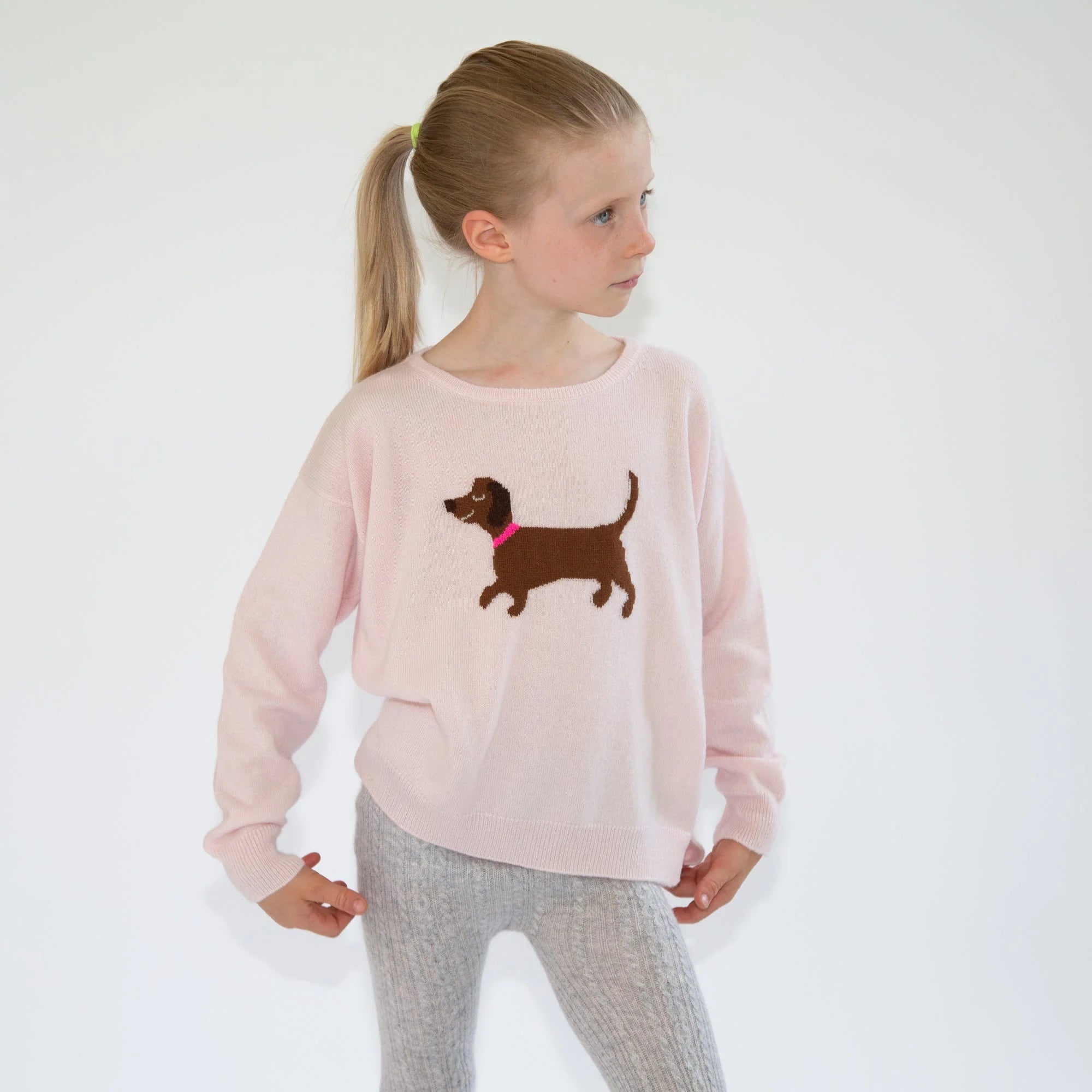 Sweater DACKEL PL